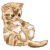 Chipi Chipi Chapa Chapa 8