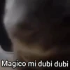 Gato Chipi Chipi 2 14