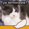 Gato Chipi Chipi 2 15