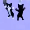 🐱 Gato Roblox 💫baile 😹💫 9