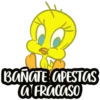 Piolin 7
