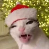 TIKTOKeando 14 21