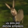 Burro 🫏 (Shrek) 13
