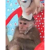 😎Barbería - Tiktok Viral😎 9