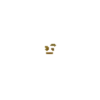 React 23