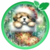 Animalitos en Navidad🎄💞1🇵🇪Clásica 25