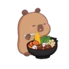 Capybara 1 17