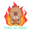 THIS IS FINE.