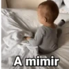 Amimir