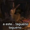Burro 🫏 (Shrek) 14