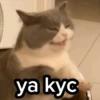 Gato Chipi Chipi 2 16