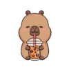 Capybara 1 19