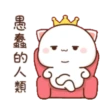 gatitos 19