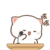 gatitos 21