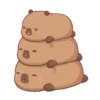 Capybara 1 21