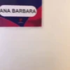 Ana Barbie 16