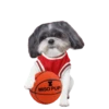 MISO pup 🐶💛🧡. mov 22