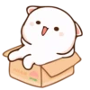 ?Cu⃑t͢ie cAt 22