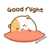 Good night