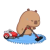 Capybara 1 22