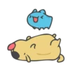 HappyCapoo 25