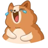 Hamster Bernard 16