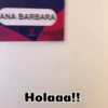 Ana Barbie 17