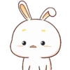 kelinci gemoy 12