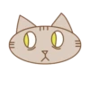 Cat Emotions 6