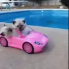 🚘 VOY LLEGANDO 😎 9