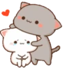 gatitos 23