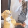 TikTok Random 25