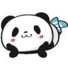 PANDA 21