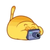 Happy Kitty- 25