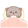 gatitos 24