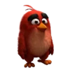 Meme Angry Birds 7