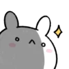 BUNNY 🤍🐰 18