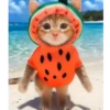 Gato bailando IA 15