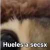 Gatitos Locos 2😼 10