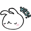 BUNNY 🤍🐰 20