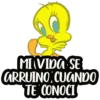 Piolin 9