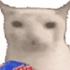Twitch Emote WhatsApp Sticker 14
