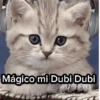 Gato Chipi Chipi 2 17