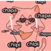 Gato Chipi Chipi 2 18