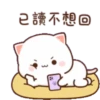 gatitos 25
