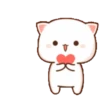😻 Los Gatitos #01 24