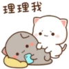 gatitos 26