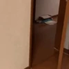 Animaditos 25 16