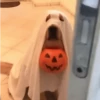 Halloween 🎃 13