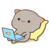 gatitos 27
